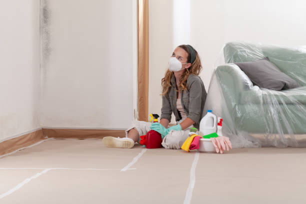 Reliable Mold Remediation contractor in Spring Hope, NC by Cheap Mold Removal